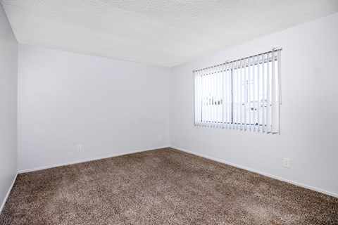 A room with a carpeted floor and a window with blinds.