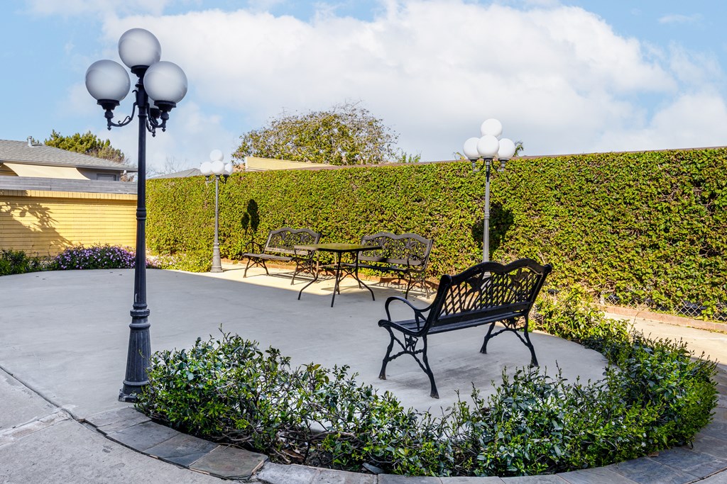 A black bench sits in the middle of a circular garden.