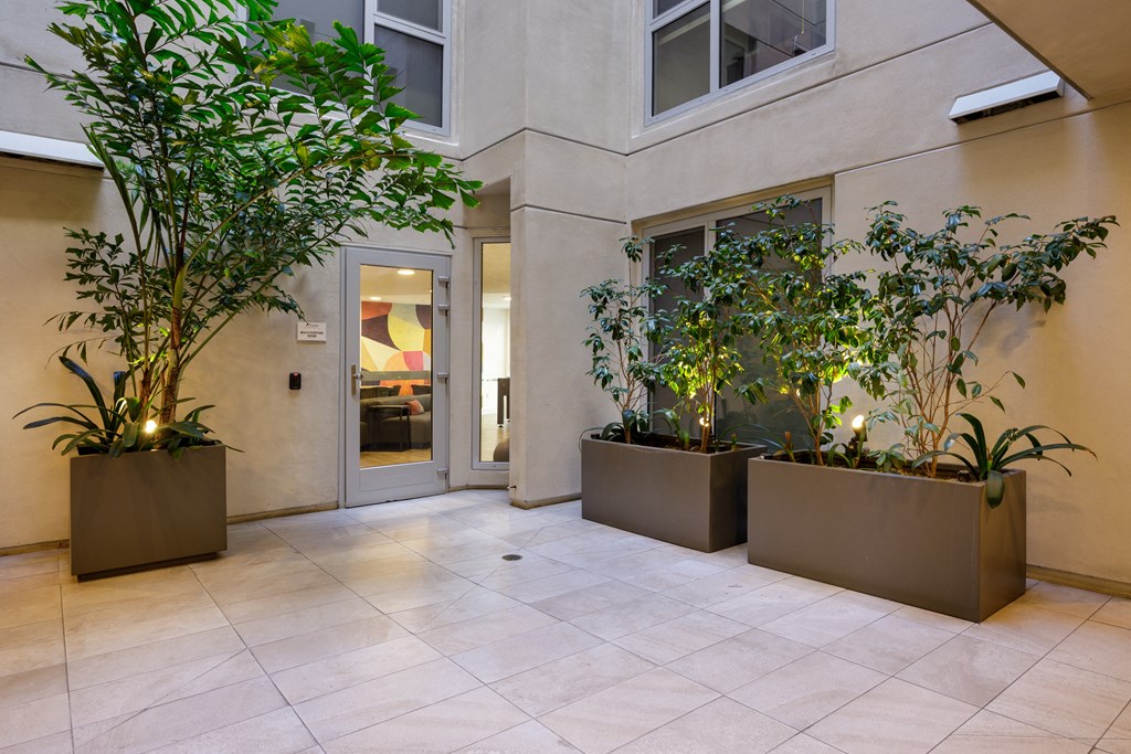 the entrance to an office building with plants in front of the doors
