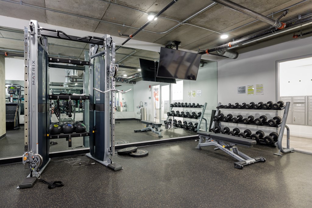 a gym with weights and a tv on the wall