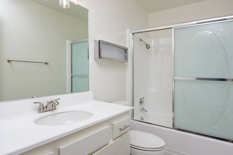 a bathroom with a sink and a shower and a toilet