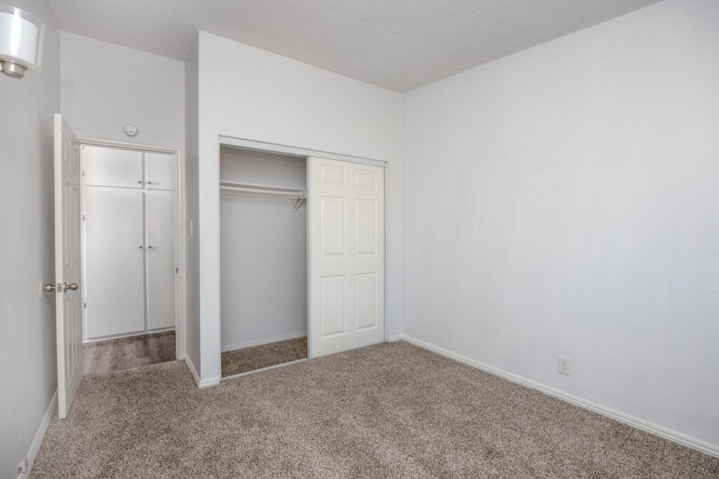 an empty room with white walls and carpet and a closet