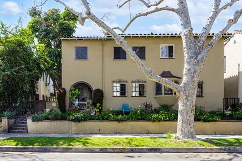 a yellow house with a tree in front of it