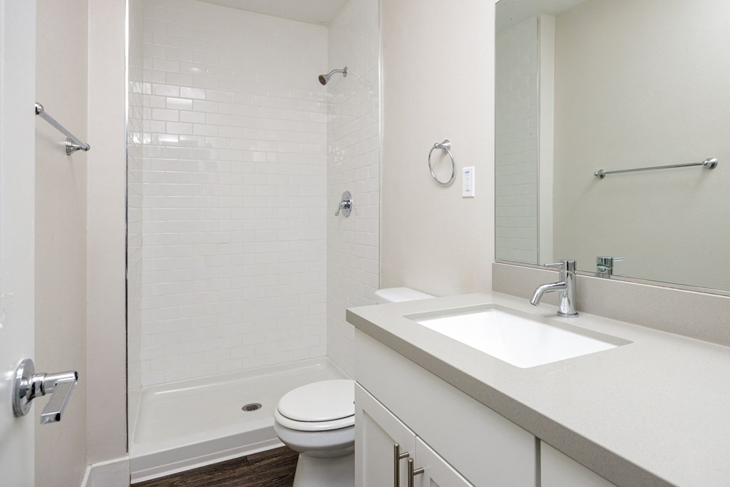 a bathroom with a sink and a shower and a toilet
