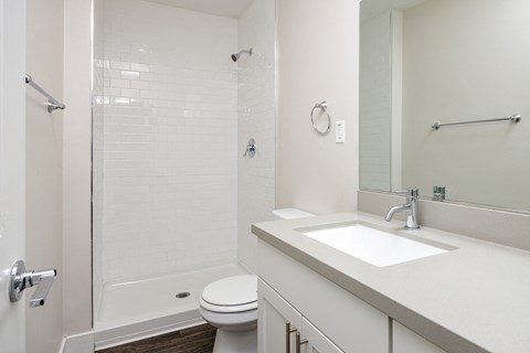 a bathroom with a sink and a shower and a toilet