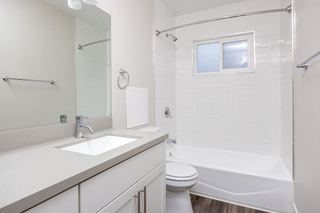 a bathroom with a sink and a toilet and a tub