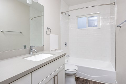 a bathroom with a sink and a toilet and a tub