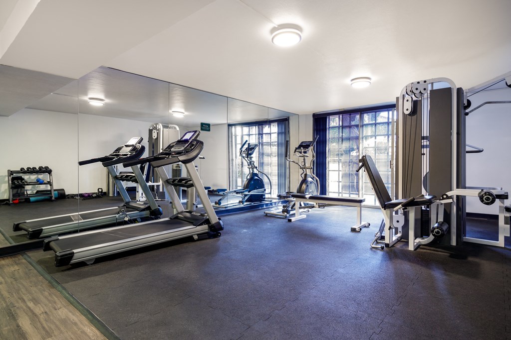 a gym with cardio machines and weights on the floor and a large window