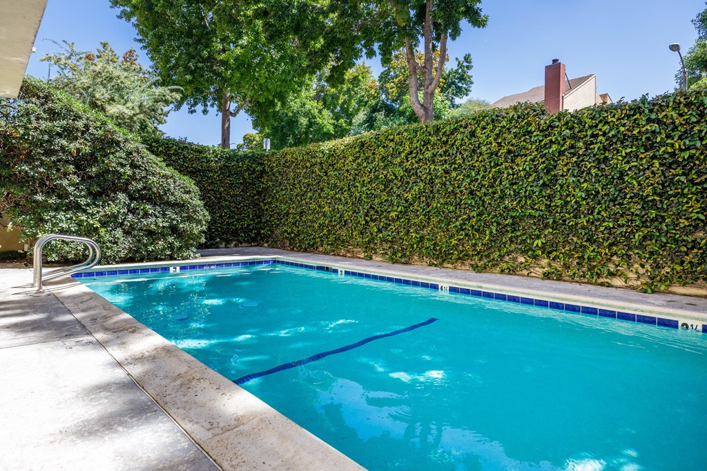 a swimming pool with a green hedge and trees in the background