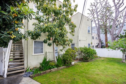 the backyard of an apartment building with a lawn and tree