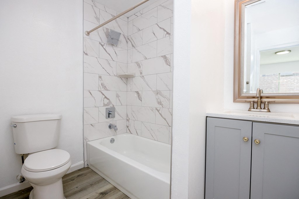 a bathroom with a toilet and a tub and a sink