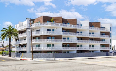 a building with a street and a palm tree in front of it