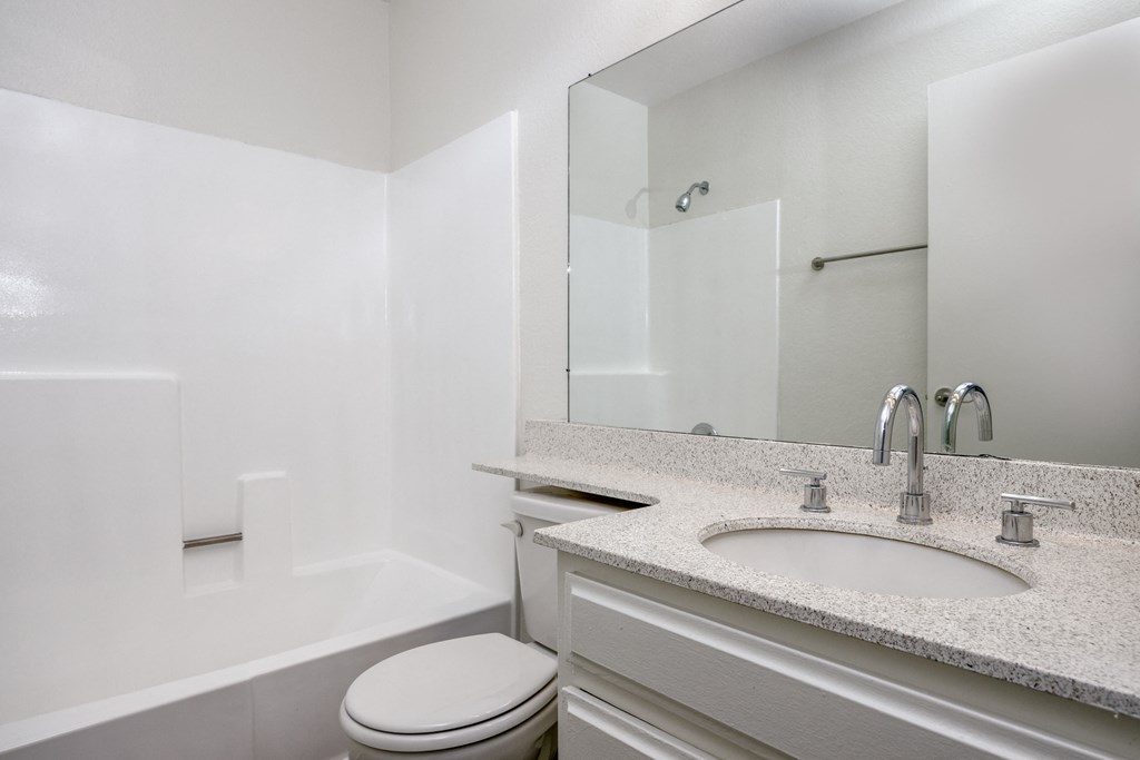 a bathroom with a sink and a toilet and a mirror