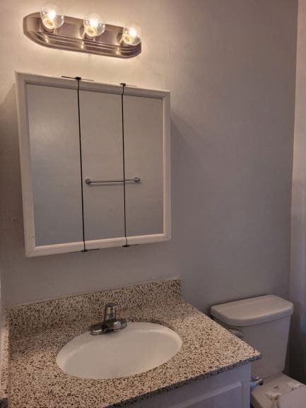 a bathroom with a sink and a mirror and a toilet