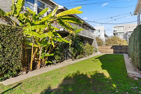 A sunny day in a residential area with a green lawn and a tree in the foreground.