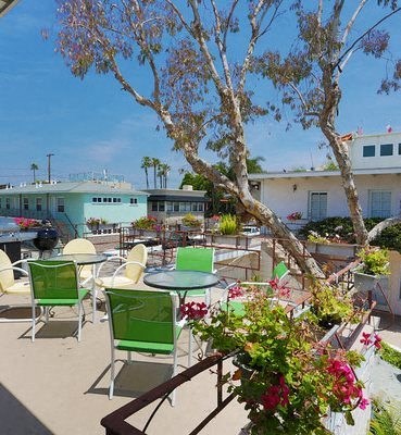 a patio with green chairs and tables and a tree