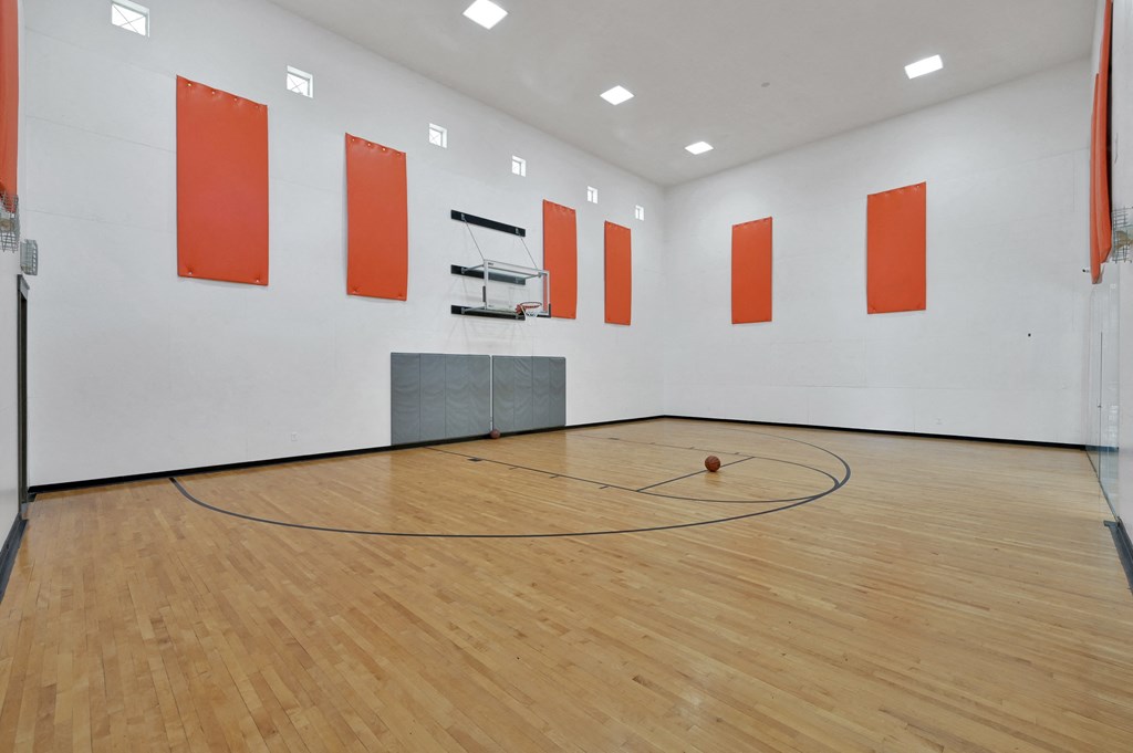 a basketball court with a black and orange circle on the floor