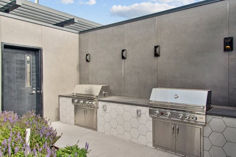 The Alcott BBQ & Grilling Area