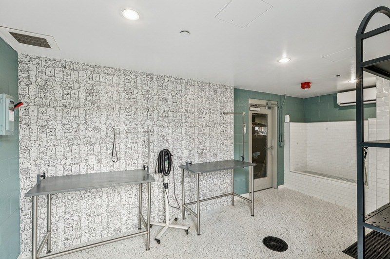 Vertis Pet Washing Station