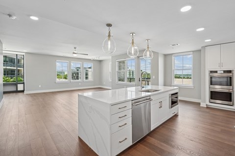 Society Penthouse Kitchen