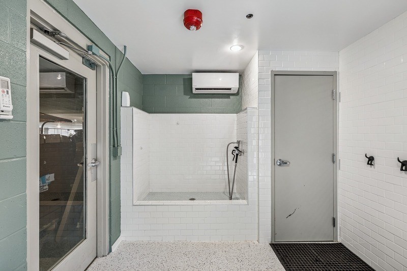 Vertis Pet Washing Station