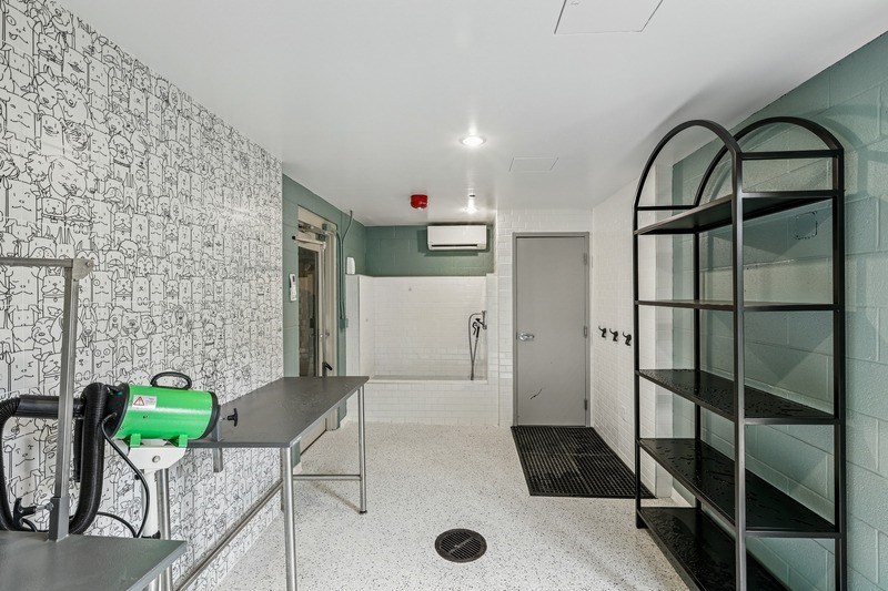 Vertis Pet Washing Station