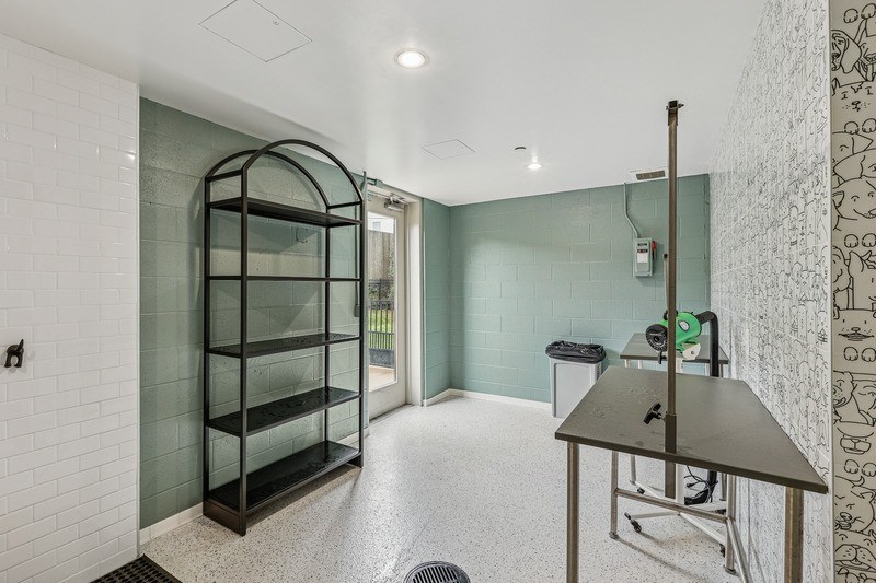 Vertis Pet Washing Station