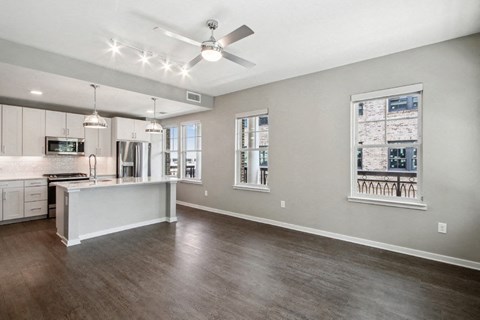 Society Kitchen and Living Room