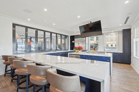 Society - The Blue Palm Kitchen and Bar