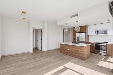 Interior Image of Unfurnished Kitchen and Living Area