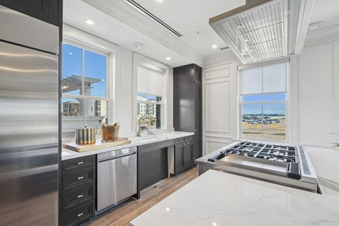 Society - The Blue Palm Kitchen and Bar