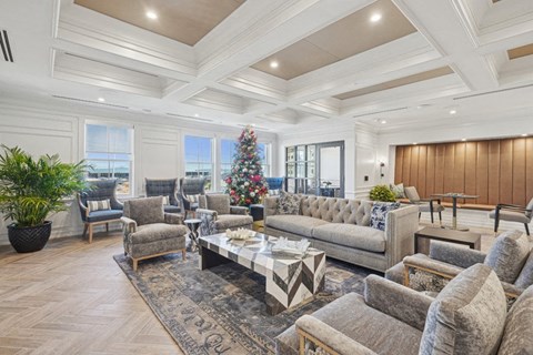 Society - The Blue Palm Lounge