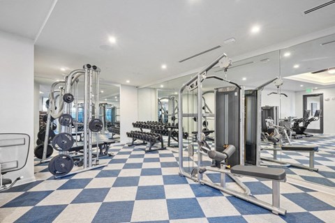 Society Fitness Center