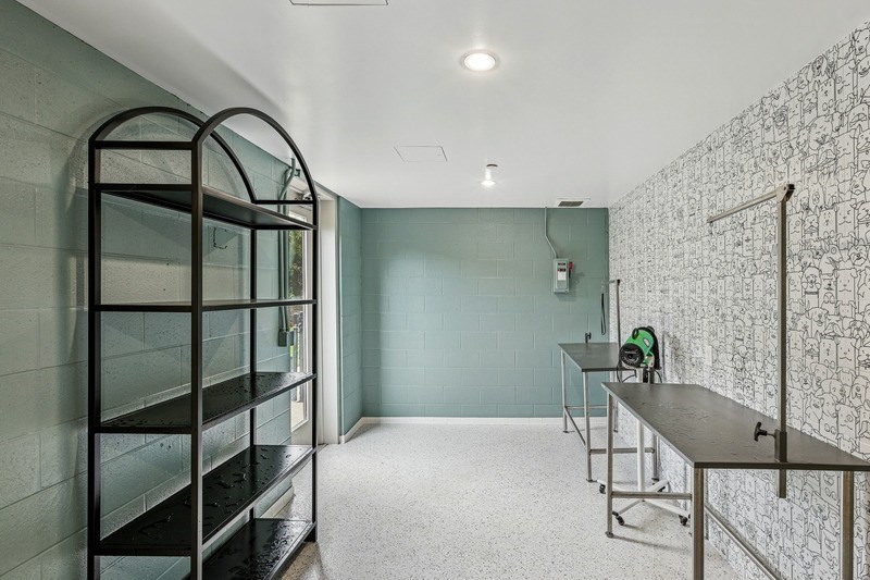 Vertis Pet Washing Station