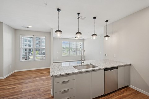 Arden Karl's Farm Kitchen and Living Room