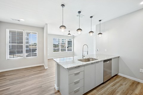 Arden Karl's Farm Living Room and Kitchen