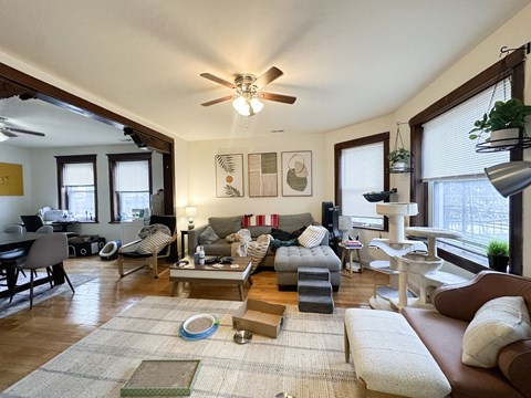 A living room with a brown couch and a rug.