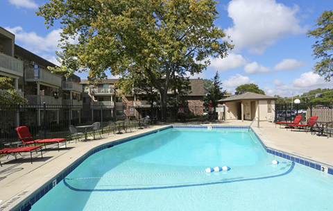 our apartments have a large pool with chairs and a tree