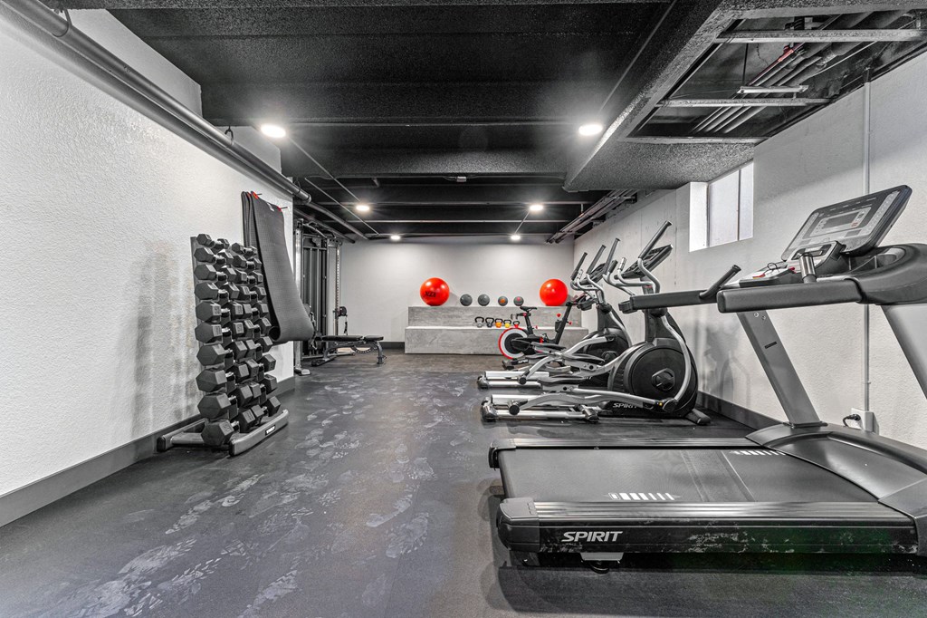 the gym at the house