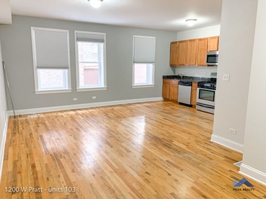 1200 W. Pratt Blvd. Studio Apartment for Rent Photo Gallery 1