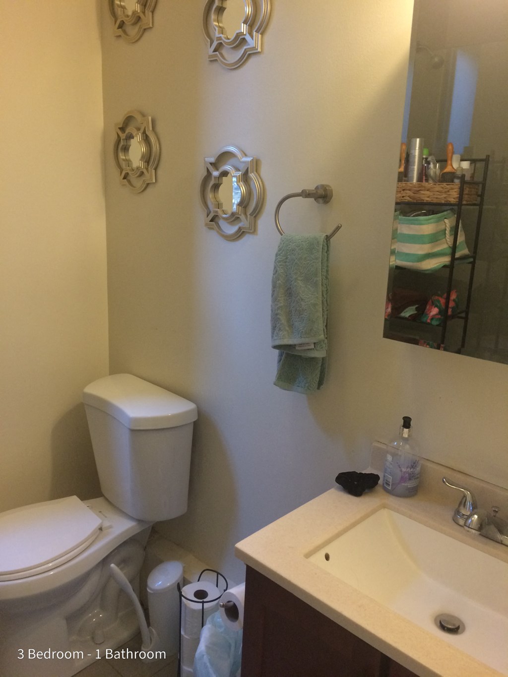 a small bathroom with a toilet and a sink