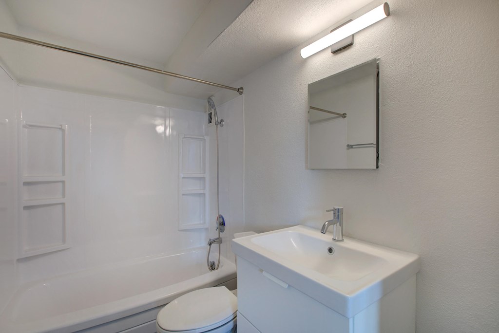 a bathroom with a sink and a shower and a mirror