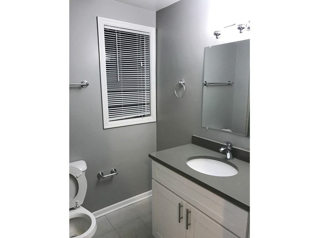 a bathroom with a sink and a toilet and a mirror