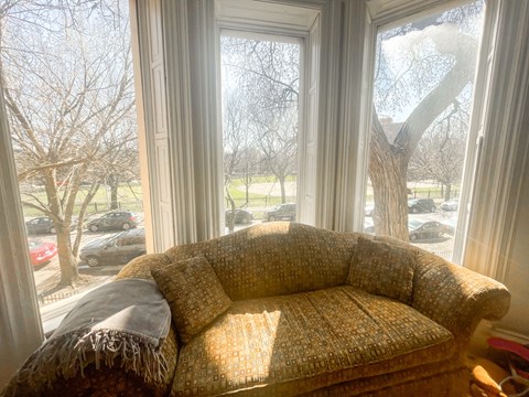 A couch with a blanket on it is in front of a window with a view of a parking lot and trees.