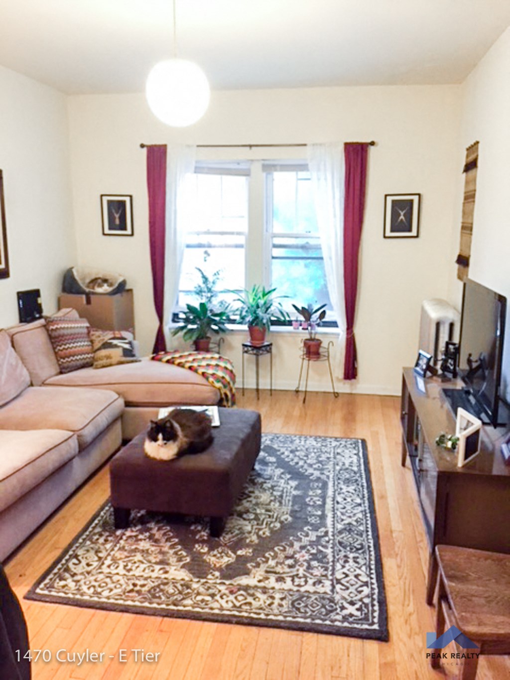 1470-80 W. Cuyler Ave. / 4035 N. Greenview Ave.