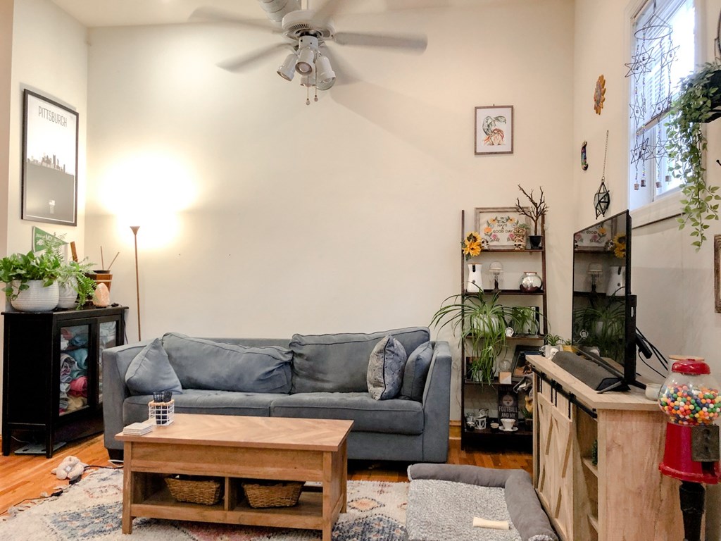 A living room with a grey couch, a wooden coffee table, and a ceiling fan.