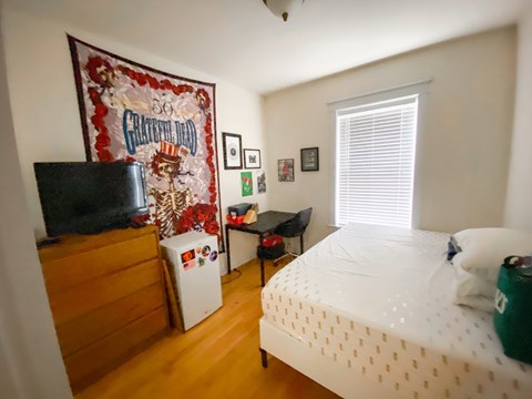 A bedroom with a bed, a dresser, a fridge, a TV, a table and a wall hanging.