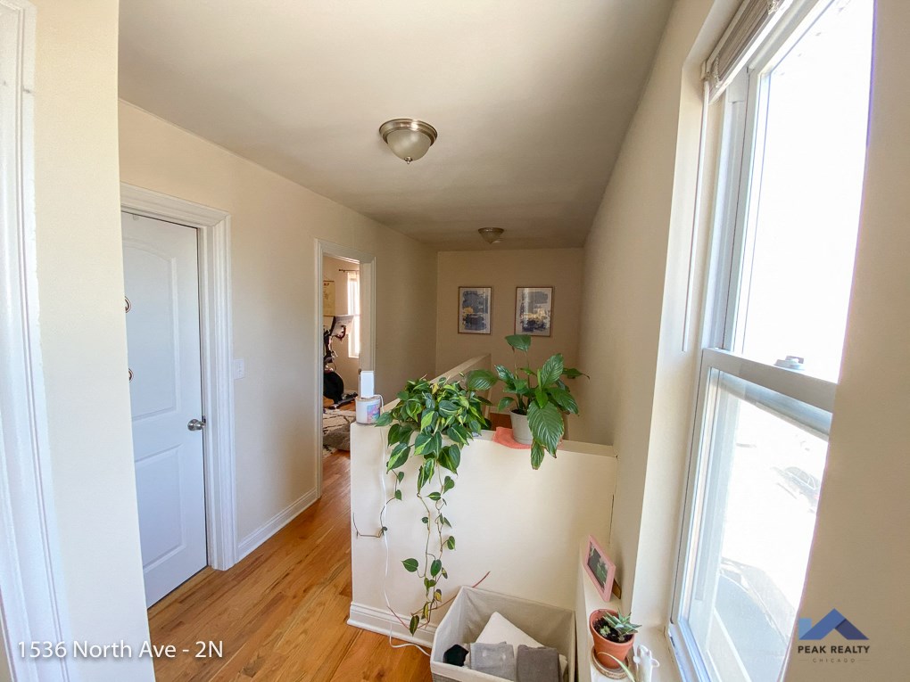 a living room with a plant on top of a refrigerator