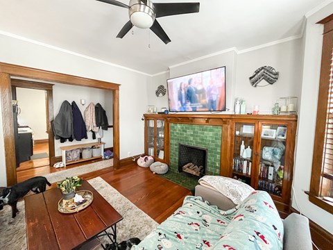 A dog is sitting on a rug in a living room.