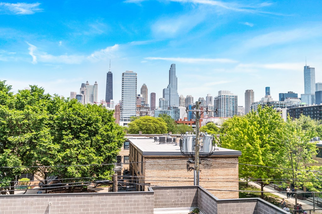 An areal view of the Chicago skyline 